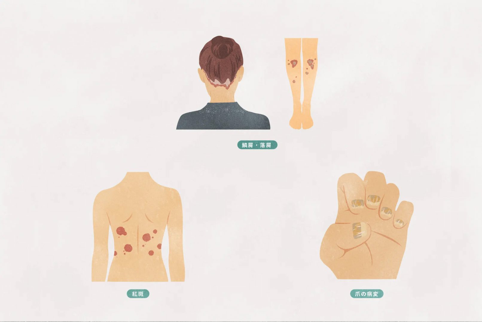 FACT FASHION イラスト